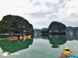 Read more about the article Blogpost 2