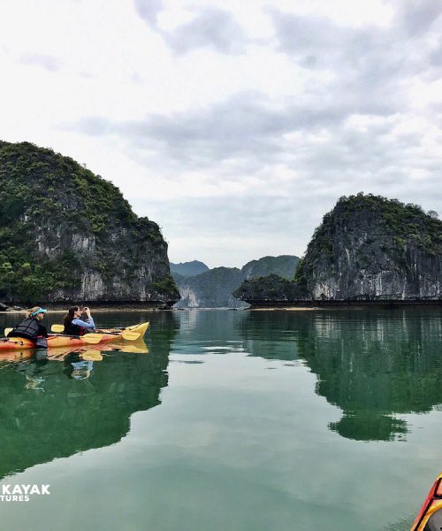 cat_ba_travel